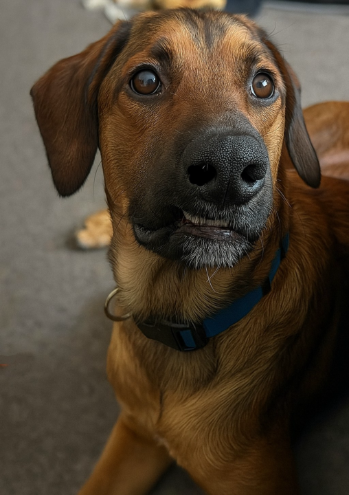 Hi.