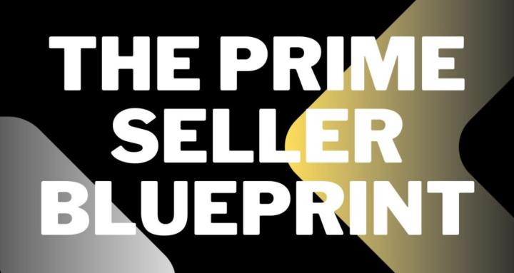 The Prime Seller Blueprint