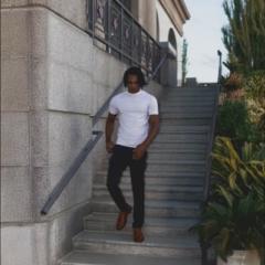 Damir Fisher