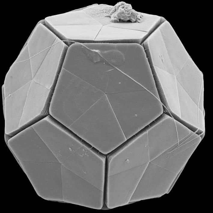 Any idea what this is?