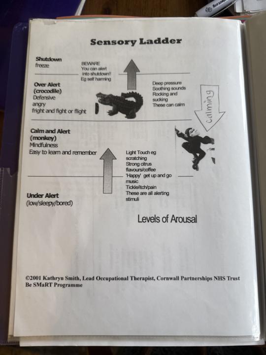 Sensory Ladders History 