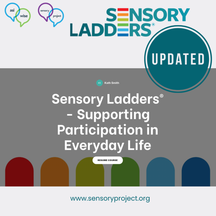 Our new Sensory Ladders Training Platform is live | anyone, anywhere, any time