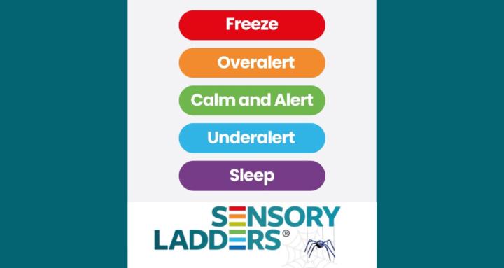 The Sensory Ladders™️ Project 