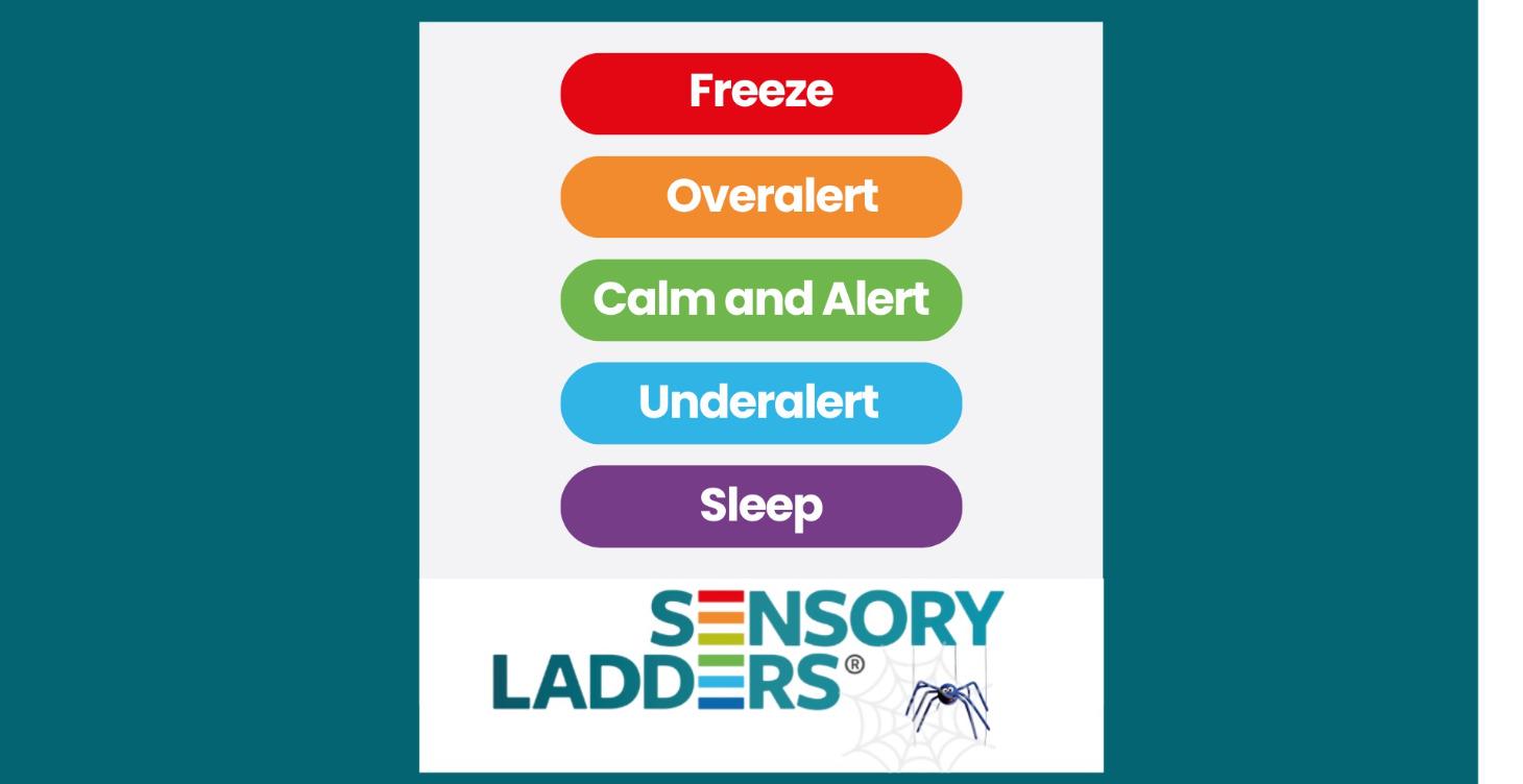 Sensory Ladders