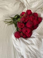 Eleonorq Selflove
