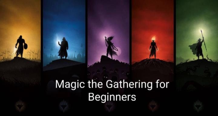 Beginner Magic the Gathering 