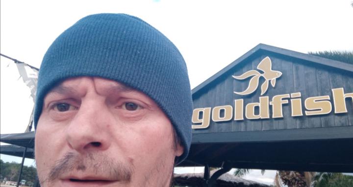Goldifish