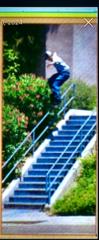 Chris Swanson