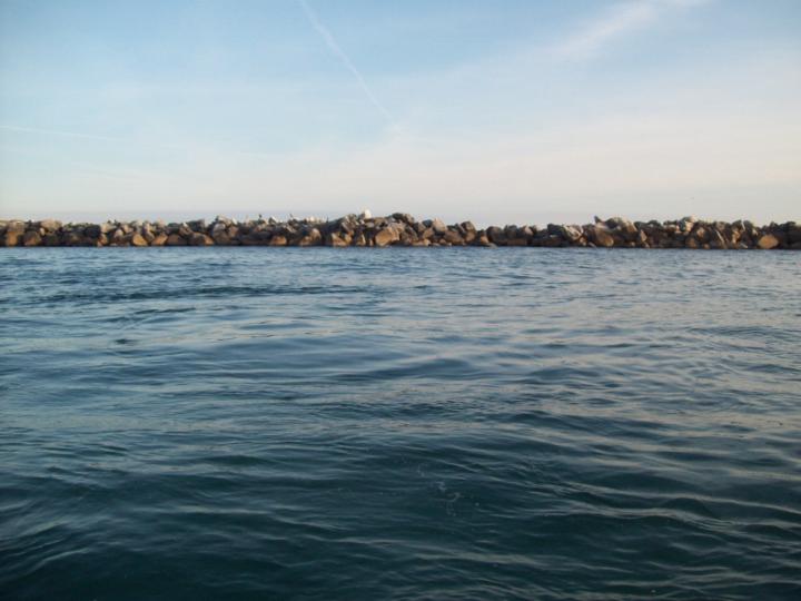 Courtney Kirkpatrick