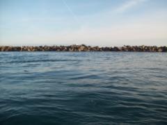 Courtney Kirkpatrick