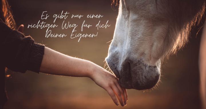 Weggefährten