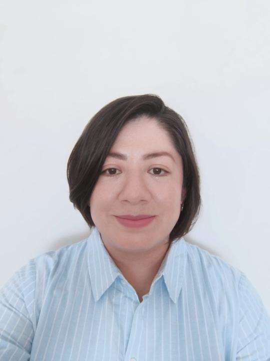 Laura Alejandra Tovar Avila