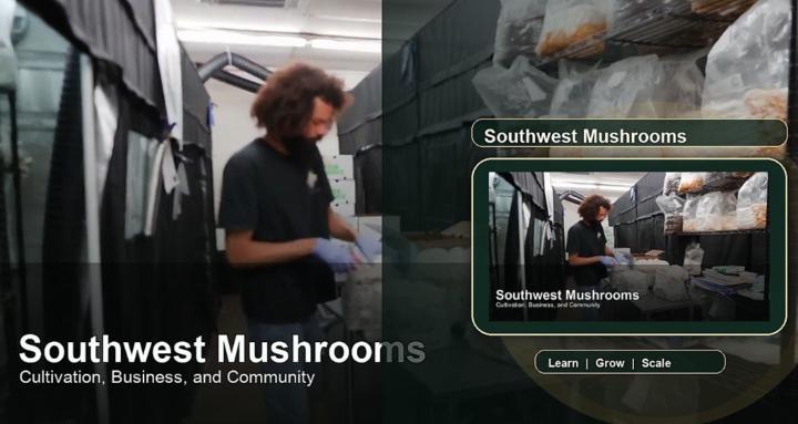 Southwest Mushrooms