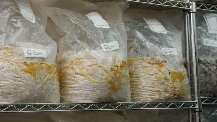 Show Us Your Worst Contamination Photo