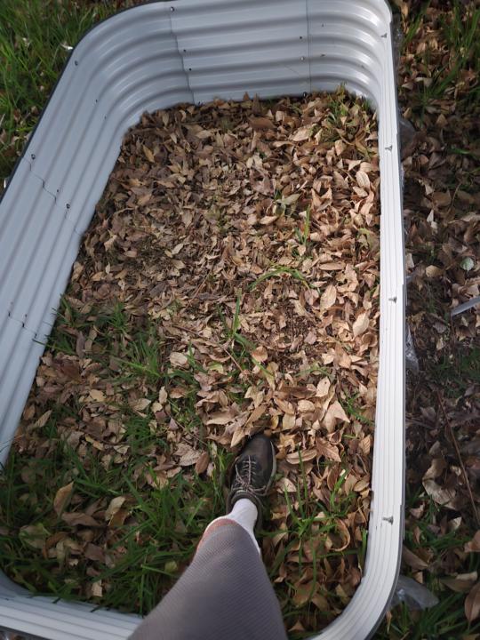 Outside GROW!  SO. CAL. (DRY HEAT!)