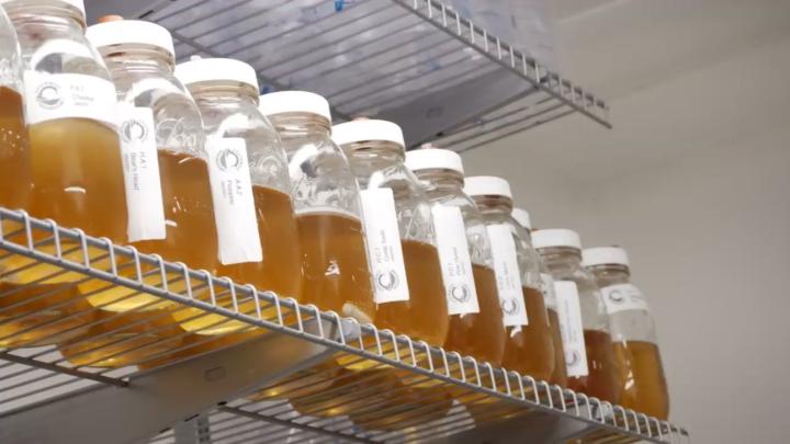 Small Space Growers: Show Your Setup