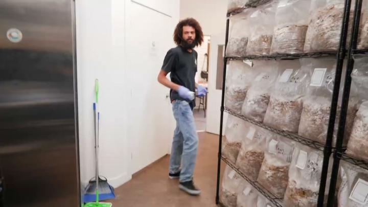 Why Oyster Mushrooms Should Be Your First Species