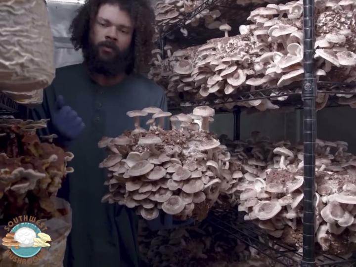 Got a Question? This Is the Place