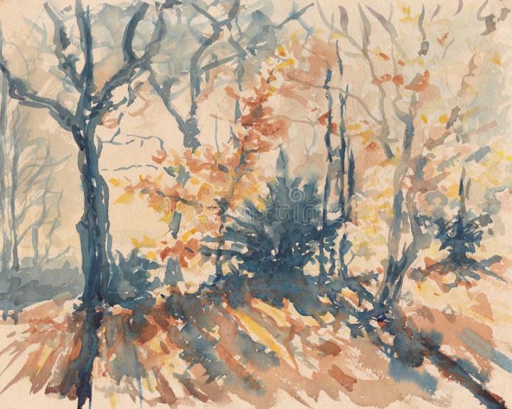 Sheri Harper