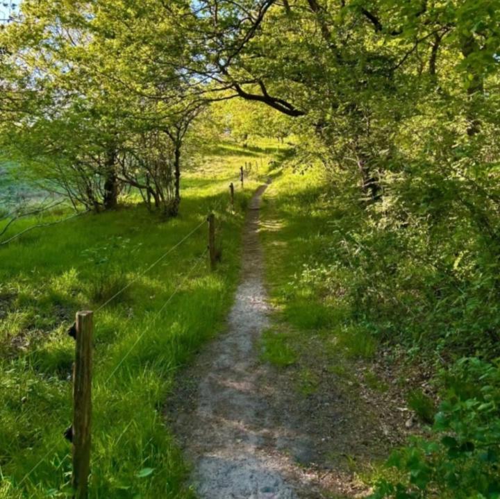 Cristóbal Emanuel Montero De La Luz