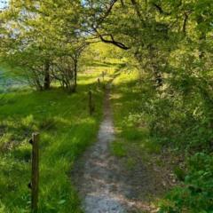 Cristóbal Emanuel Montero De La Luz