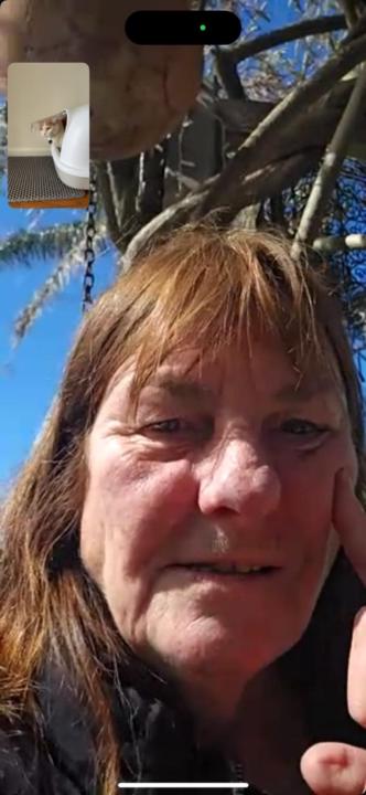 Sue Dalton