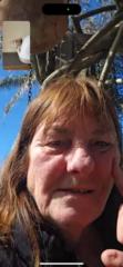 Sue Dalton