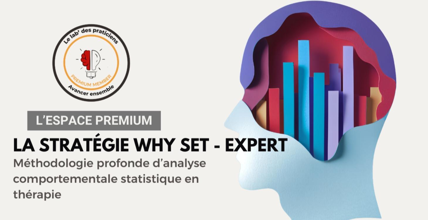 Why set : La stratégie niveau expert