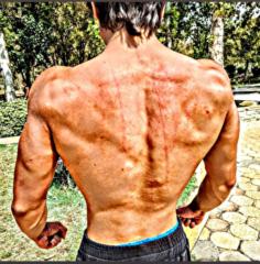 Arvin Bashardost