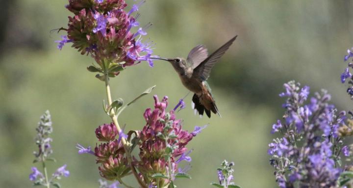 Live, Love & Laughter