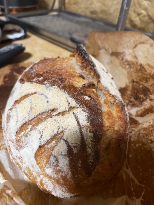 אלה ביאלסקי