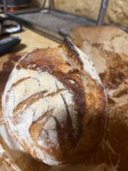 אלה ביאלסקי