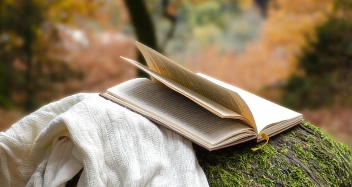 Wild Hearts Book Club