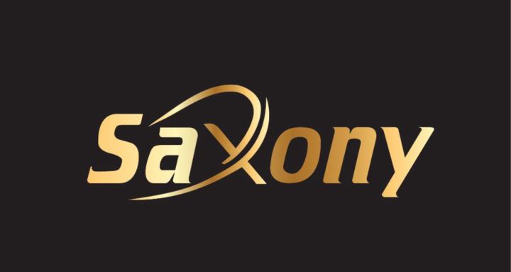 Saxony consulting