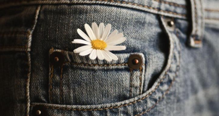 Bloom Where You're Planted