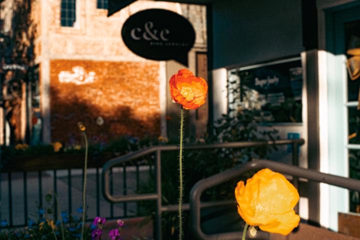 Brenda Lormendez Siu