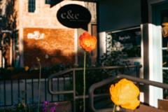 Brenda Lormendez Siu