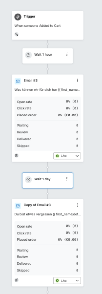 Browse and abandoned cart flow setup