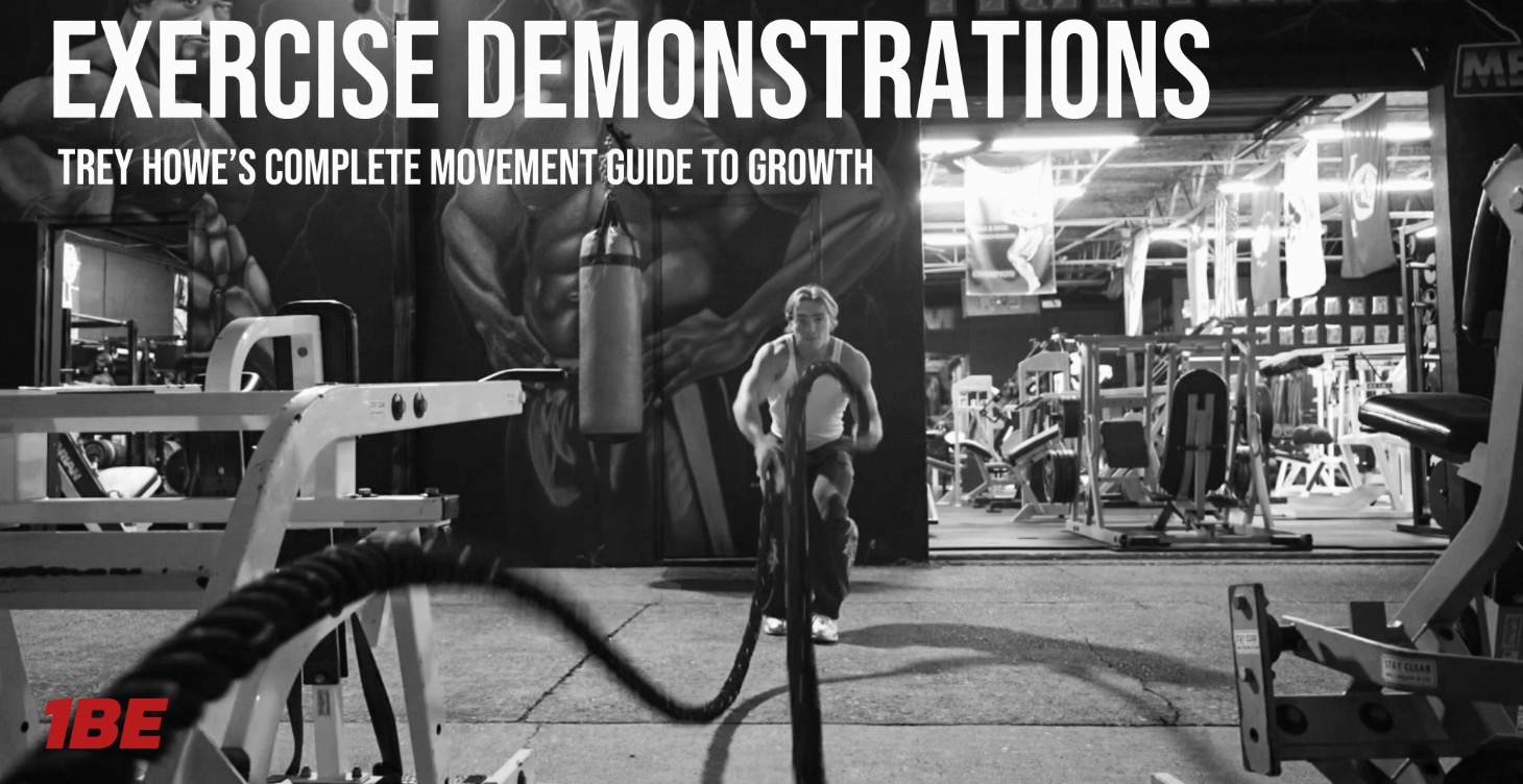 Exercise Demonstrations