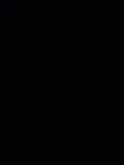 Abdullah Abdelguerfi