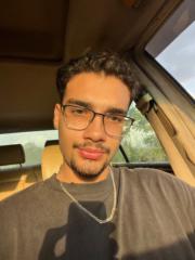 Ali Ghamloush