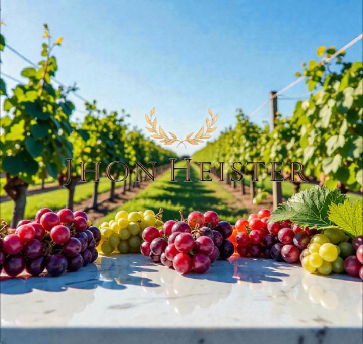 Jhon Heister Babilonia Delgado