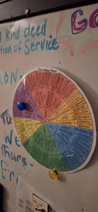Feeling Wheel