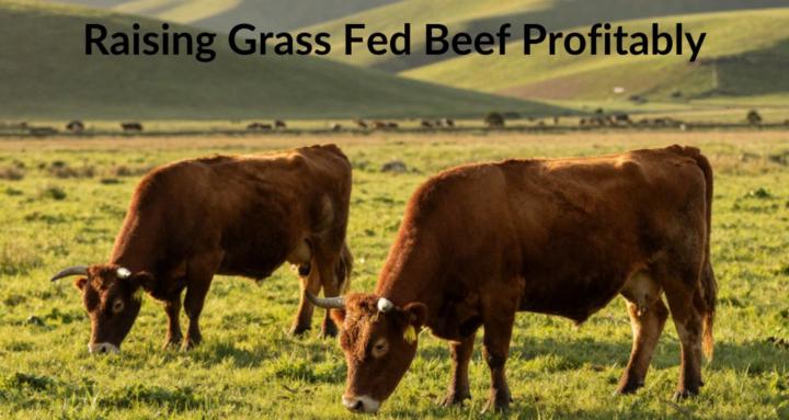 Grass Fed From Scratch