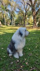 Hector M