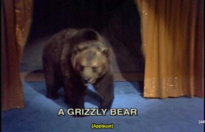 Bear Price