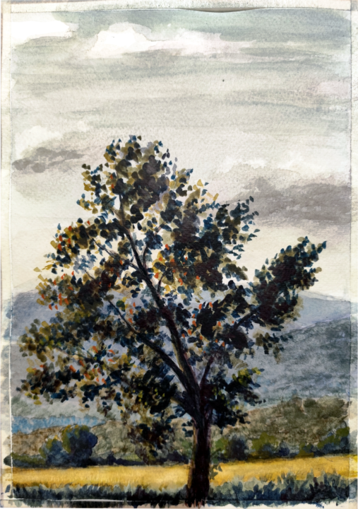 Solitaire poplar