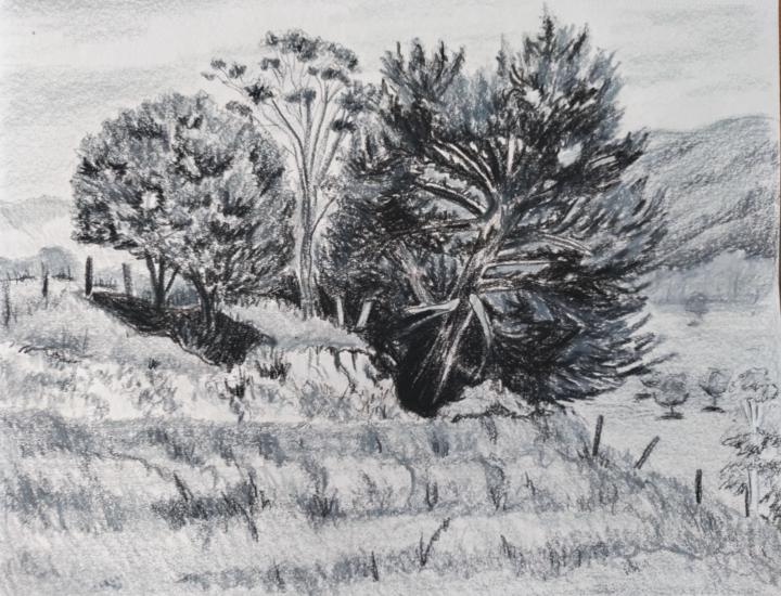 Pine Tree Painting Class (sketches)