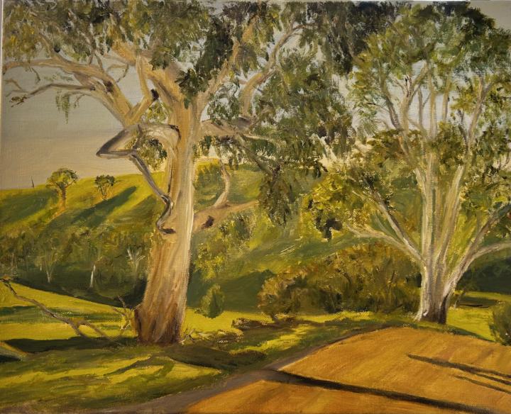 Sunlit gums