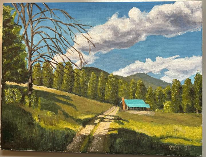 Cabin in the meadow